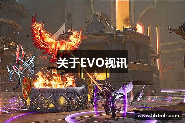 关于EVO视讯